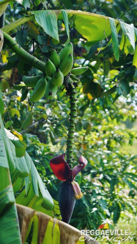 Munchy in Ethiopia - Day 4