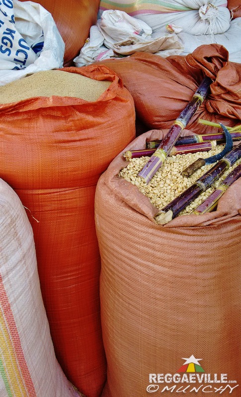 Munchy in Ethiopia - Day 4