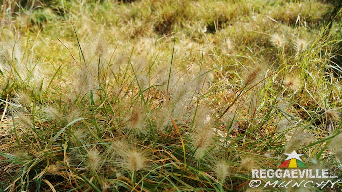 Munchy in Ethiopia - Day 9