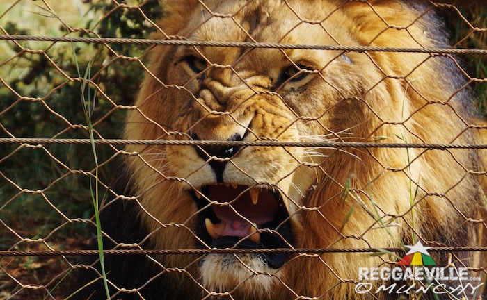 Munchy in Ethiopia - Day 9