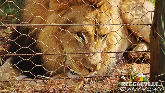 Munchy in Ethiopia - Day 9