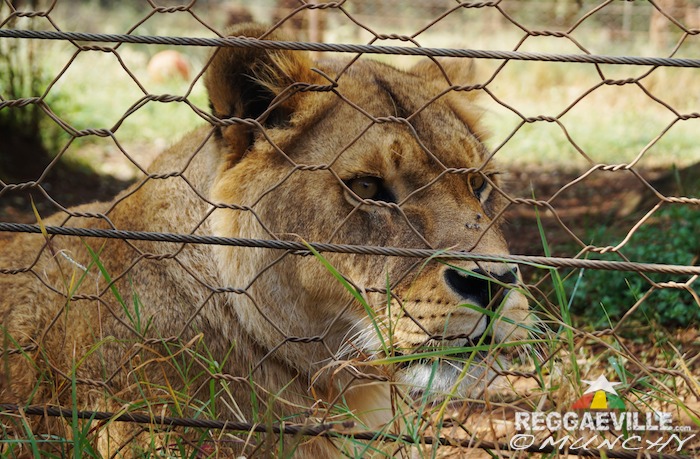 Munchy in Ethiopia - Day 9