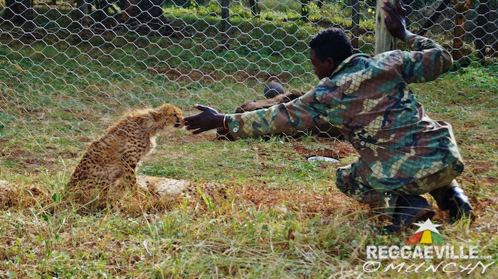 Munchy in Ethiopia - Day 9
