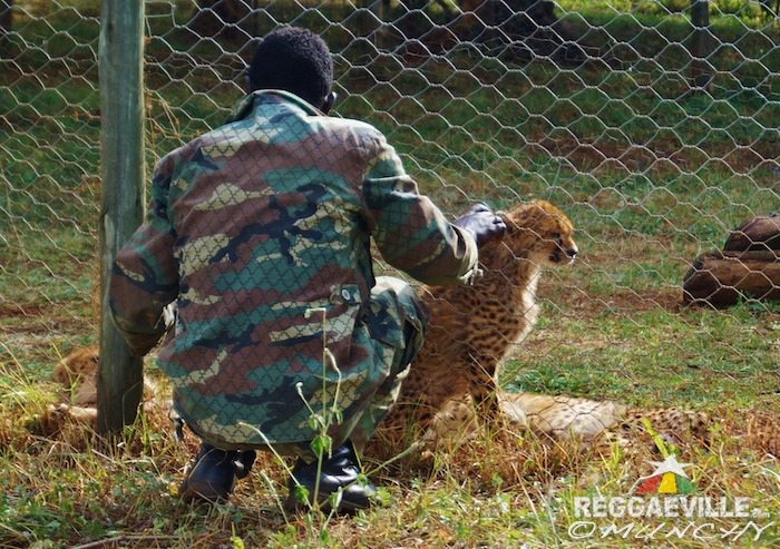 Munchy in Ethiopia - Day 9