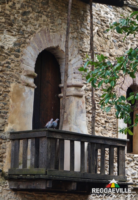 Munchy in Ethiopia - Day 6