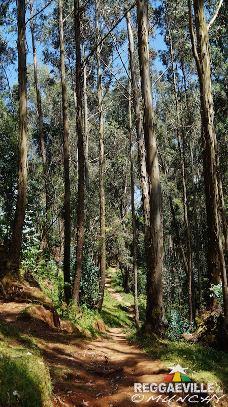 Munchy in Ethiopia - Day 3