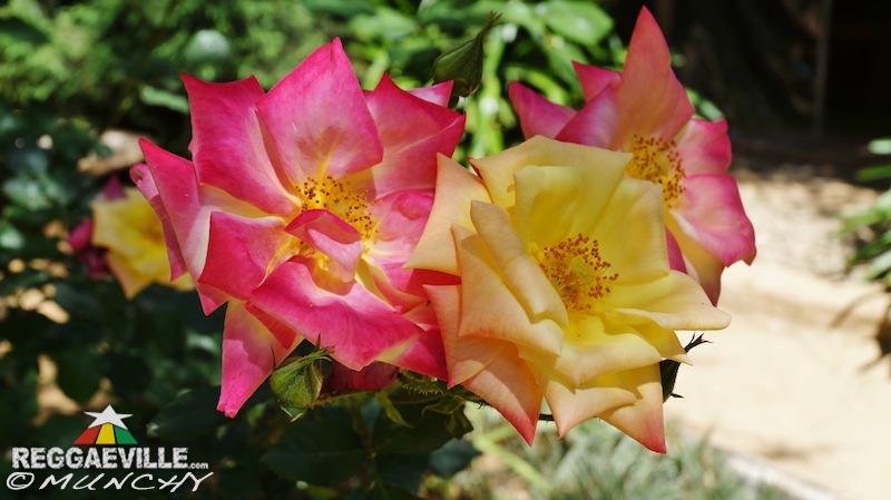 Munchy in Ethiopia - Day 3