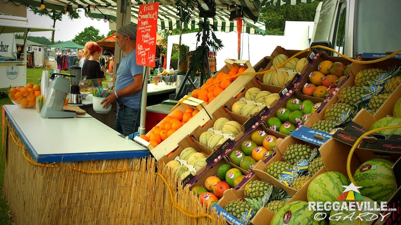 Various Artists & Vibes @ P-Town Festival 2016