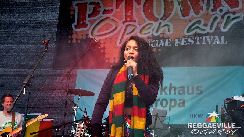 Various Artists & Vibes @ P-Town Festival 2016