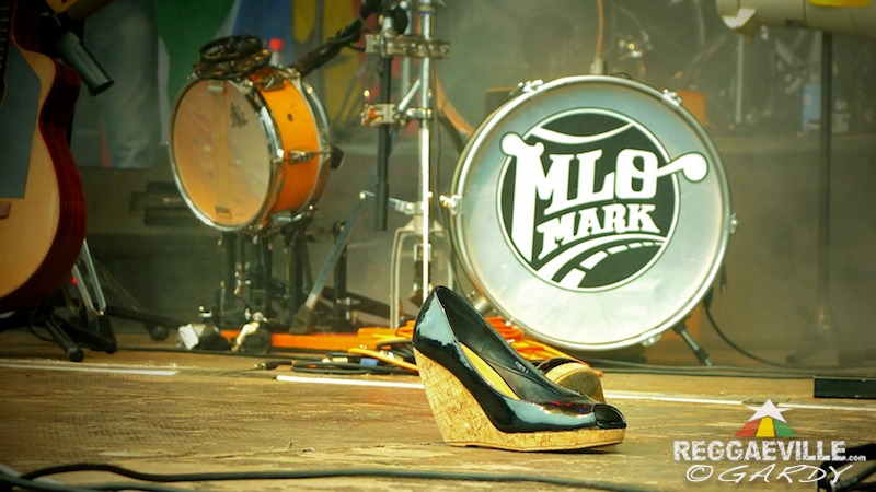 Various Artists & Vibes @ P-Town Festival 2016