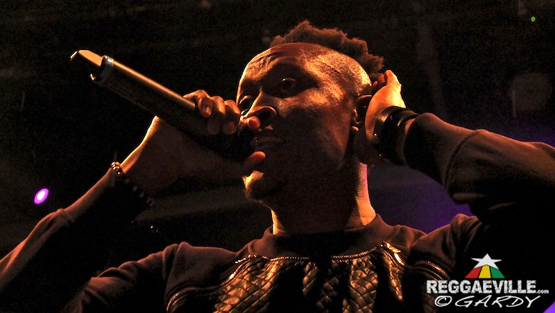 Various Artists & Vibes @ P-Town Festival 2016