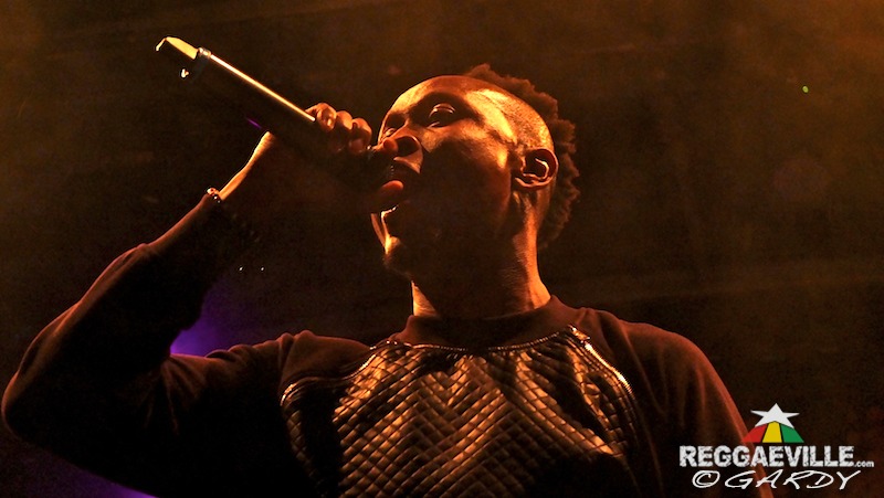 Various Artists & Vibes @ P-Town Festival 2016