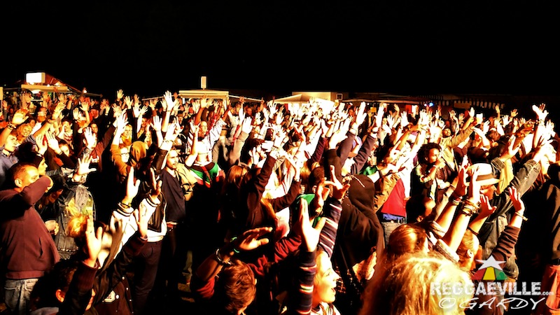 Various Artists & Vibes @ P-Town Festival 2016