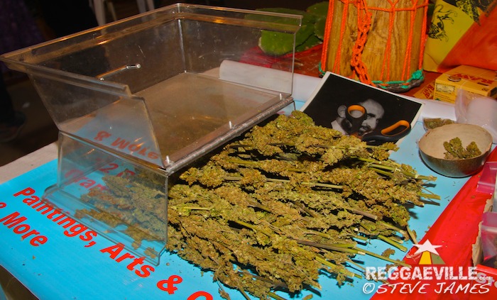 Herb Curb @ Rebel Salute 2016