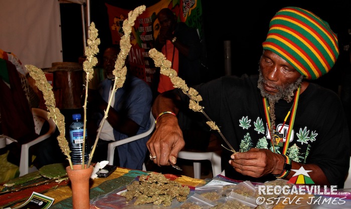 Herb Curb @ Rebel Salute 2016