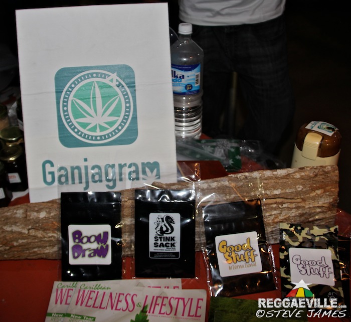 Herb Curb @ Rebel Salute 2016