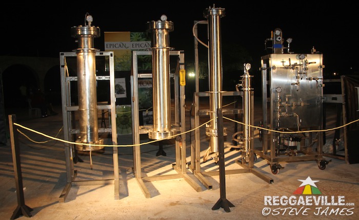 Herb Curb @ Rebel Salute 2016