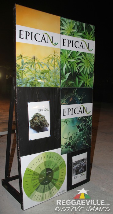 Herb Curb @ Rebel Salute 2016