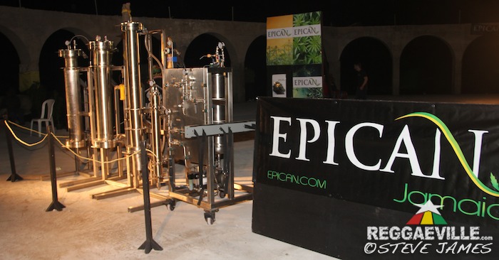 Herb Curb @ Rebel Salute 2016