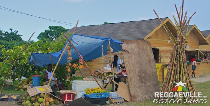 Impressions @ Rebel Salute 2016