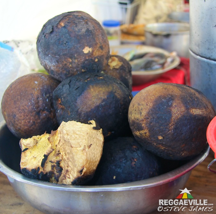 Impressions @ Rebel Salute 2016