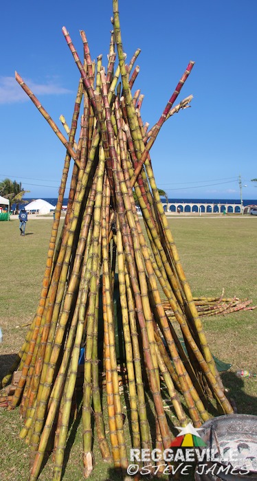 Impressions @ Rebel Salute 2016