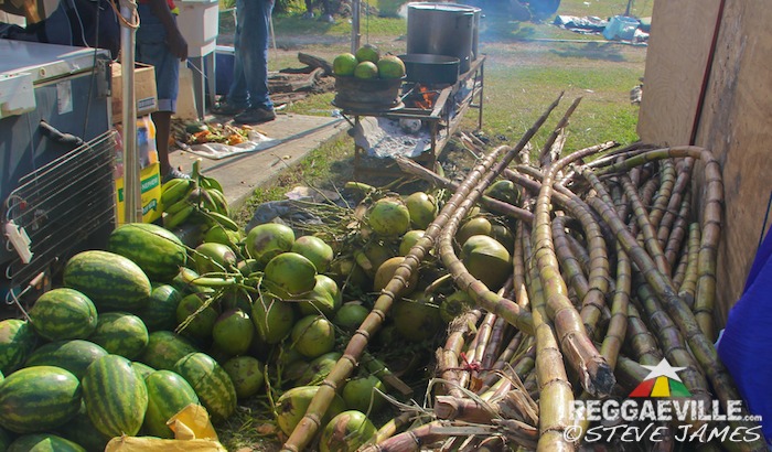 Impressions @ Rebel Salute 2016