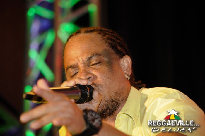 Red Fox @ Reggae Jam 2014