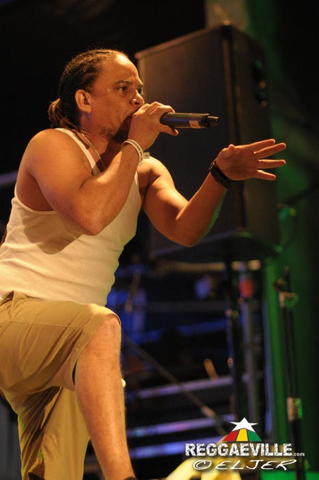 Red Fox @ Reggae Jam 2014