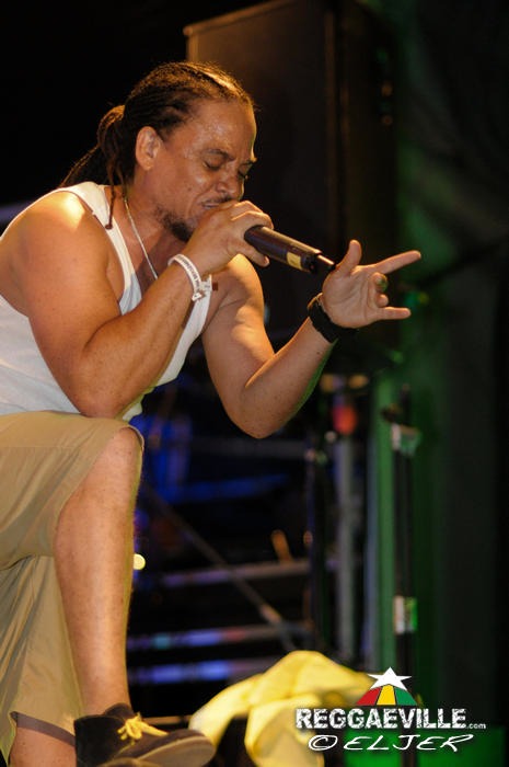 Red Fox @ Reggae Jam 2014