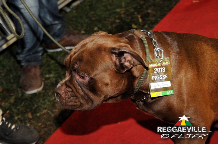 Impressions #2 @ Reggae Jam 2013