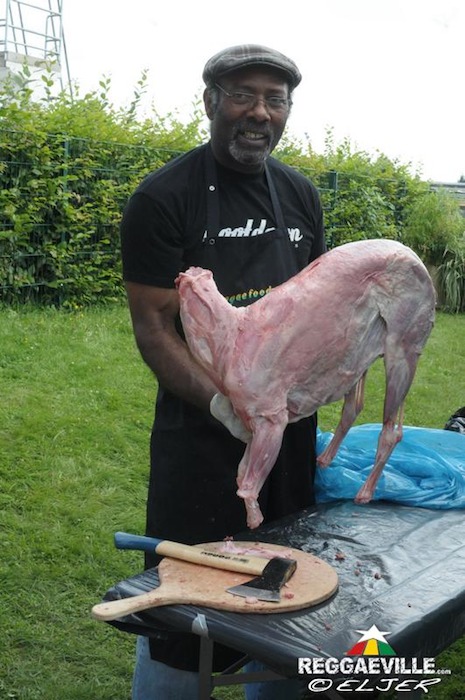 Impressions @ Reggae Jam 2014