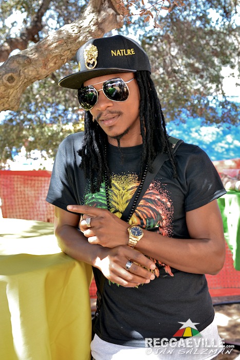 Vibes @ Reggae On The Mountain 2015