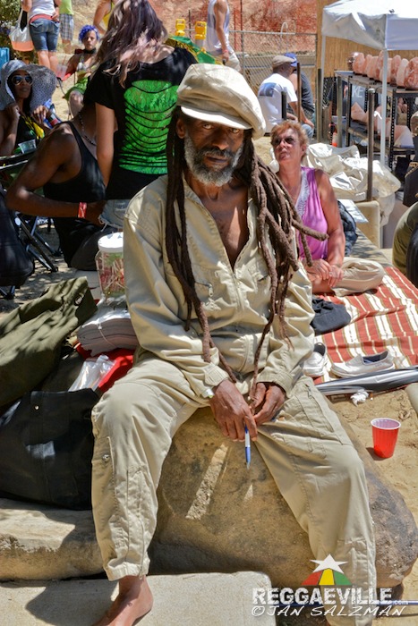 Vibes @ Reggae On The Mountain 2015
