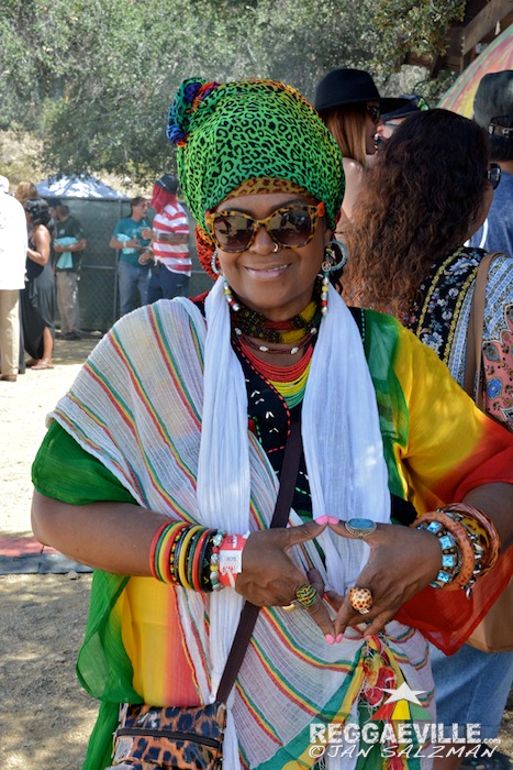 Vibes @ Reggae On The Mountain 2015