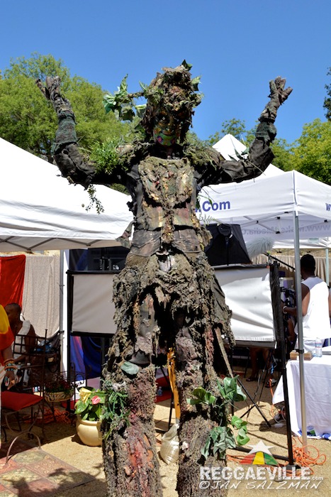 Vibes @ Reggae On The Mountain 2015