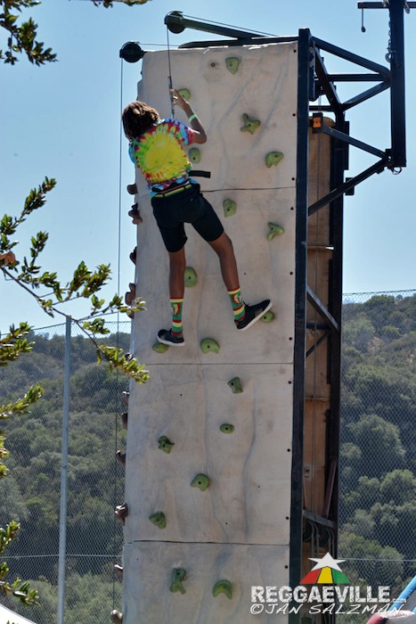 Vibes @ Reggae On The Mountain 2015