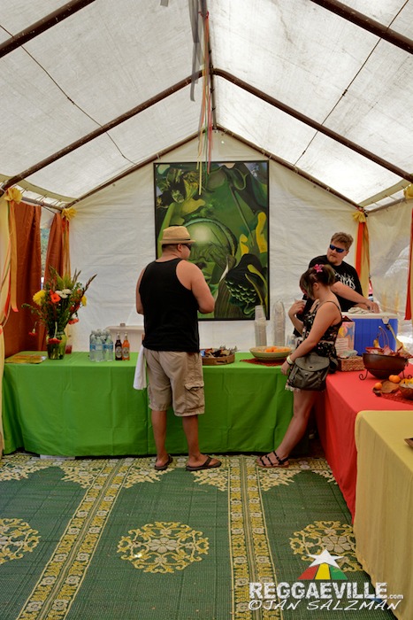 Vibes @ Reggae On The Mountain 2015