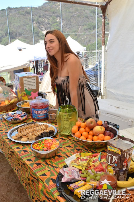 Impressions @ Reggae On The Mountain 2014