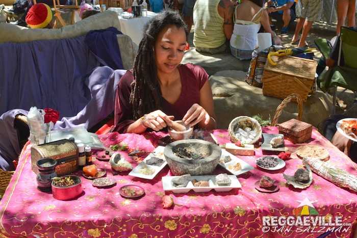 Impressions @ Reggae On The Mountain 2014
