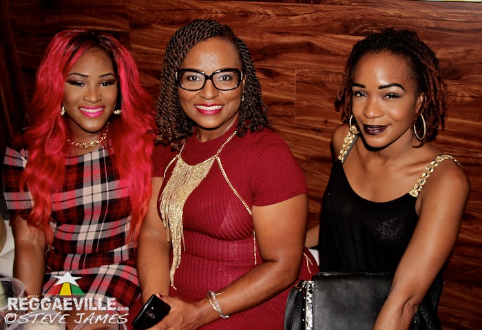 Reggae Power 2 Album Launch in Kingston, Jamaica