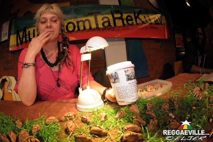 Impressions @ Reggaeville Easter Special - Dortmund 2014