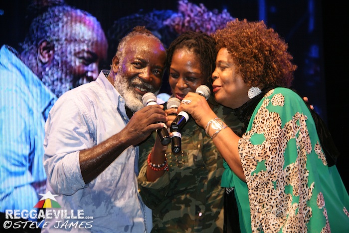 Various Artists @ Reggae Wednesday - The Bloodlines 2015
