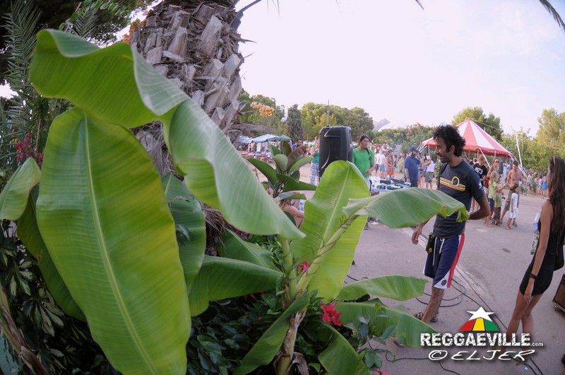 Impressions #6 @ Rototom Sunsplash 2016
