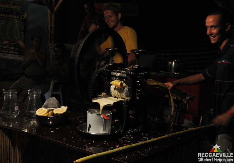 Impressions @ Rototom Sunsplash 2012