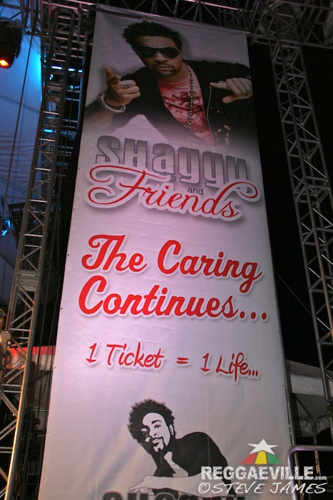 Impressions @ Shaggy & Friends 2014