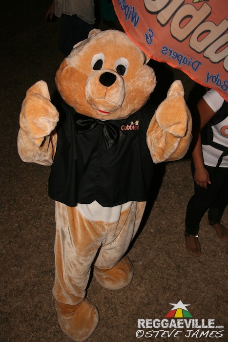 Impressions @ Shaggy & Friends 2014