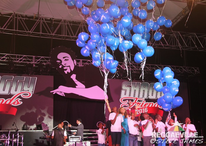 Vibes @ Shaggy & Friends 2016