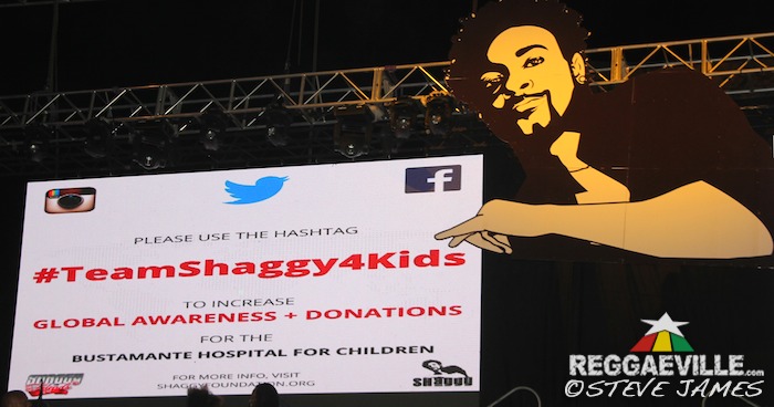 Vibes @ Shaggy & Friends 2016