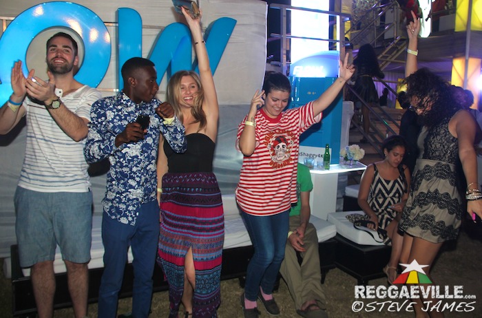 Vibes @ Shaggy & Friends 2016